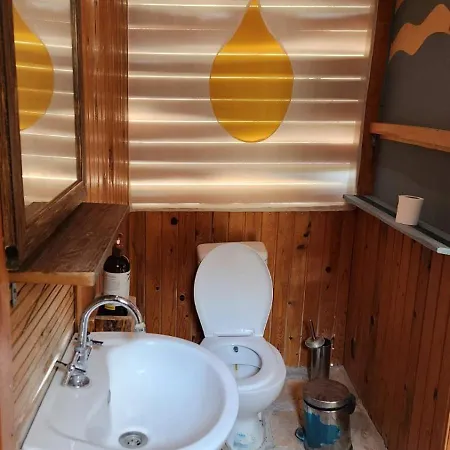Zion Bungalov *