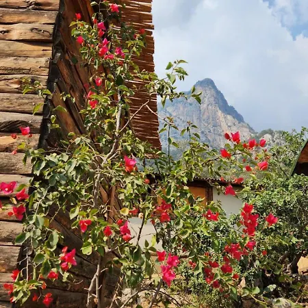 Alojamento de Acomodação e Pequeno-almoço Kabak Nova Camp Bungalovs Fethiye