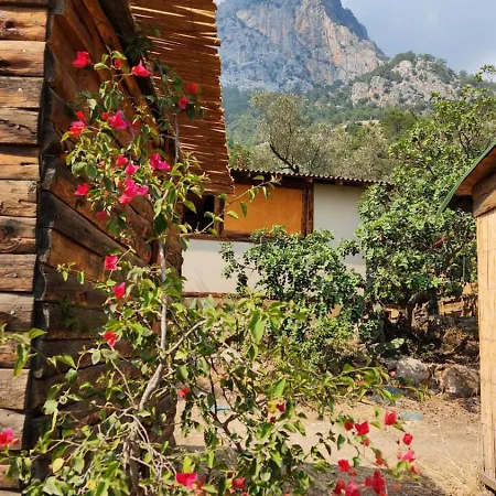 Kabak Nova Camp Bungalovs * פאטהיה
